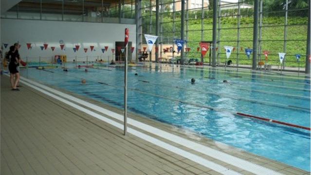 Immagine 2 dalla galleria del partner Piscina Bosisio Viribus Unitis