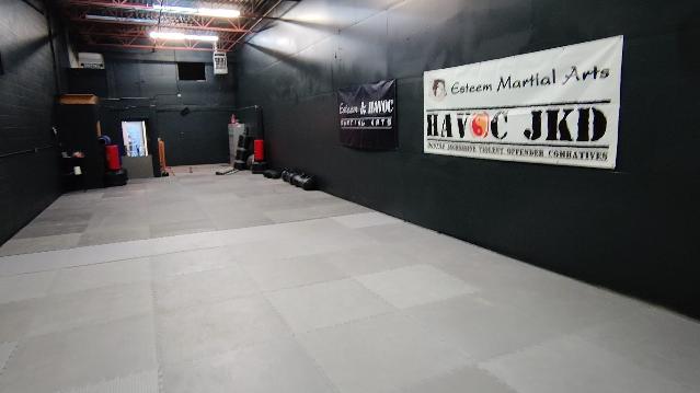 Image 3 from Esteem & HAVOC Martial Arts partner gallery
