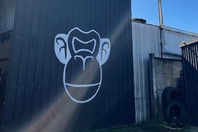 Imagen 2 de la galería del partner Monkey Training