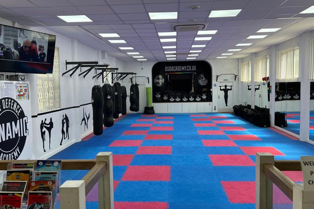 Image 1 from Dynamic Self Defence (DSD) Academy - Hendon partner gallery