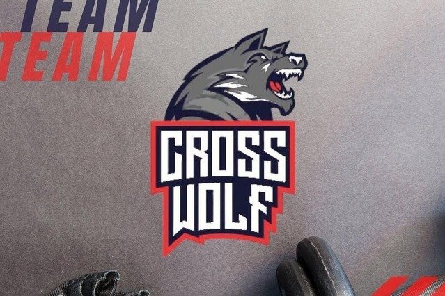 Imagem 1 da galeria do parceiro CrossWolf