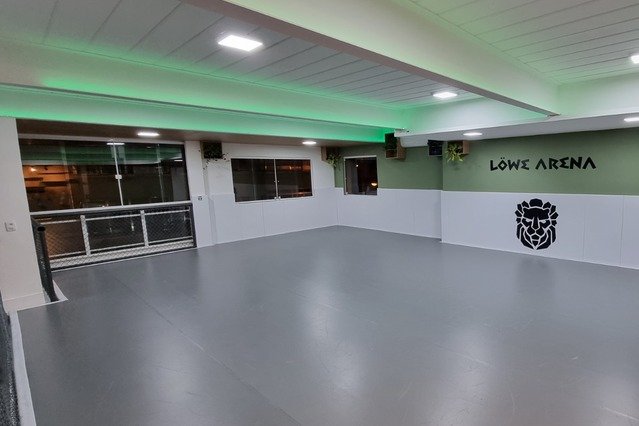 Imagem 1 da galeria do parceiro Löwe Arena