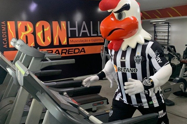 Imagem 3 da galeria do parceiro Academia do Galo Iron Hall