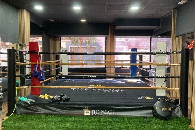 Imagen 1 de la galería del partner The Palace Boxing Club