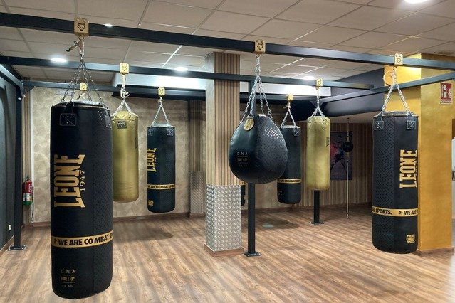 Imagen 2 de la galería del partner The Palace Boxing Club