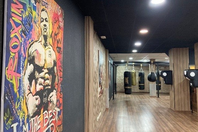 Imagen 3 de la galería del partner The Palace Boxing Club