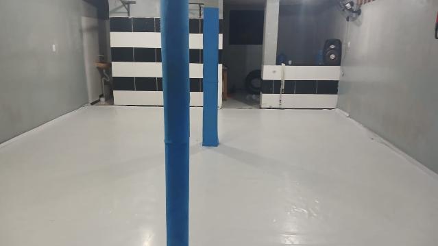 Imagem 3 da galeria do parceiro Projeto Matilha