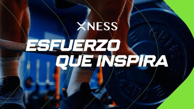 Imagen 1 de la galería del partner Xness Nuevo Mexico