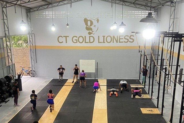 Imagem 1 da galeria do parceiro CT Gold Lioness