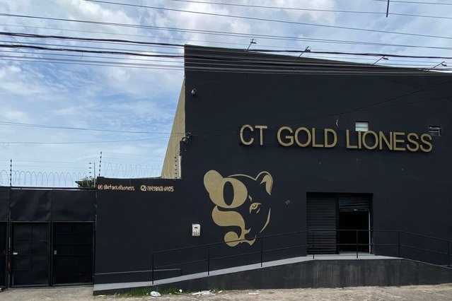 Imagem 2 da galeria do parceiro CT Gold Lioness