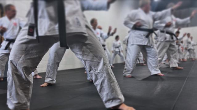 Image 1 from Academy of Martial Arts Mississauga partner gallery