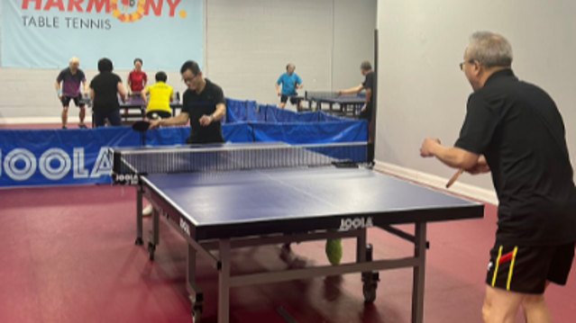 Image 3 de la galerie du partenaire Harmony Table Tennis