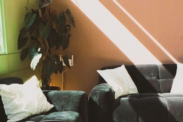 Imagen 3 de la galería del partner Koti Wellness - Condesa