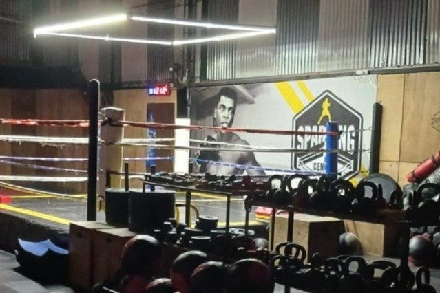 Imagen 1 de la galería del partner Sparring Dojo