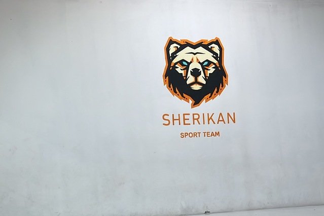 Imagem 3 da galeria do parceiro Sherikan Sport Team