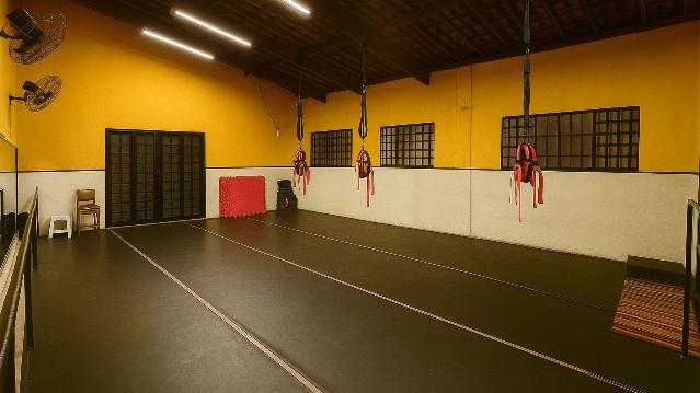 Imagem 2 da galeria do parceiro Dançart -  Escola de Danças
