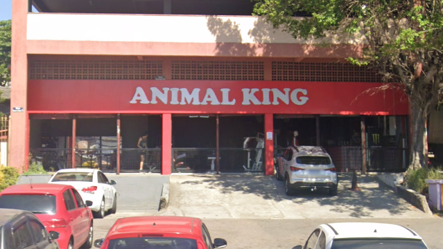 Imagem 2 da galeria do parceiro Academia Animal King - Tomás Coelho
