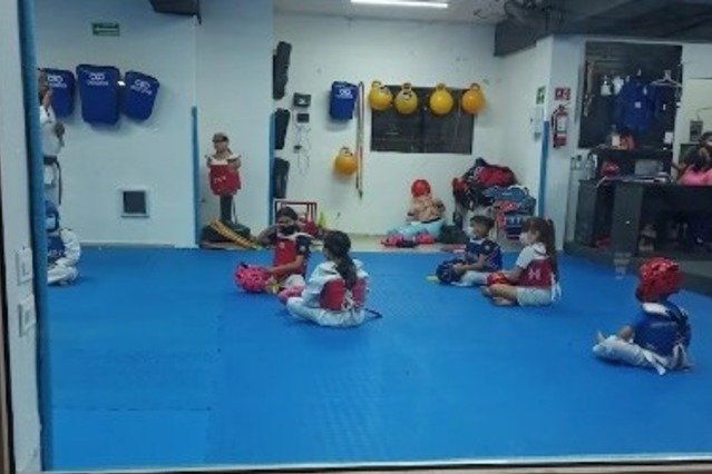 Imagen 2 de la galería del partner Profighter Valle