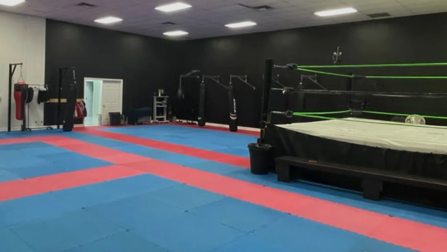 Image 1 from Limitless Martial Arts- partner gallery