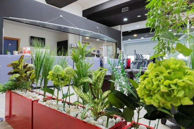 Immagine 2 dalla galleria del partner Sferattiva