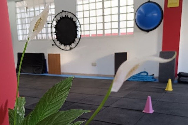 Imagem 3 da galeria do parceiro Studio Strapasson: Pilates e Treinamento Funcional