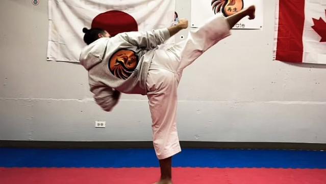 Image 1 from Saisei Karate partner gallery
