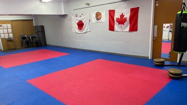 Image 2 from Saisei Karate partner gallery