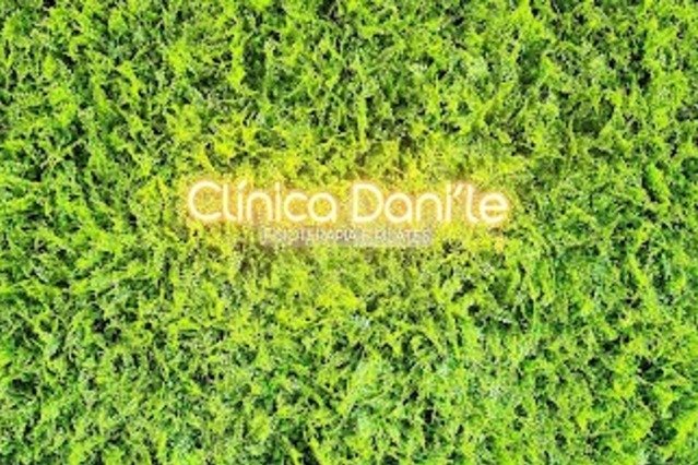 Imagem 1 da galeria do parceiro Clinica Dani'le Fisioterapia, Pilates e Liberação Miofascial unidade 2
