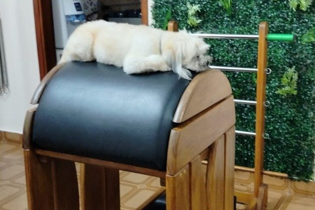Imagem 3 da galeria do parceiro Studio G Pilates
